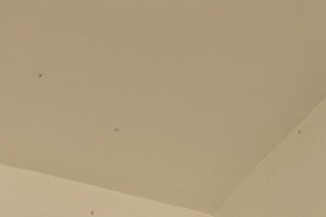 Room & Suite