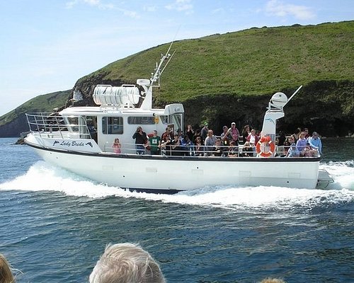 dingle boat tours reviews