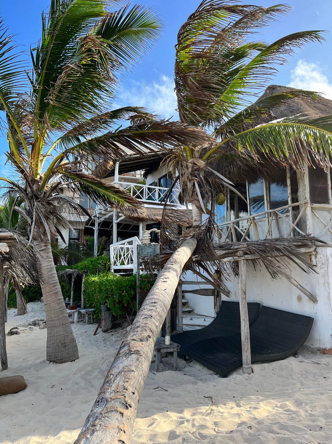 punta piedra hotel tulum