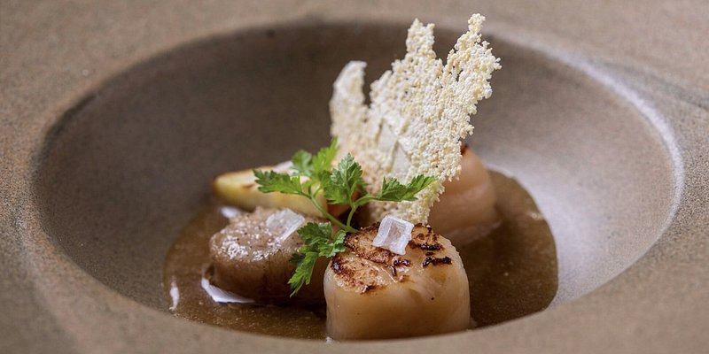 A plate of seared scallops and cashews from D.O.M. restaurant