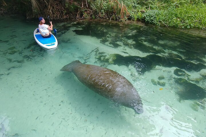 2024 Nature & Island Exploration on SUP/Kayak