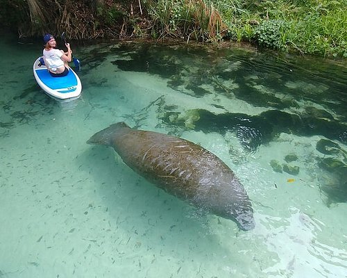 kayaking tours in miami