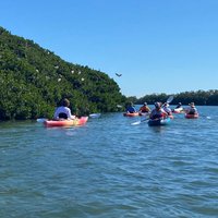 Happy Paddler Kayak Tours & EcoVentures (Anna Maria Island) - All You ...