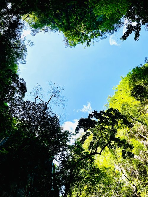 Ao Phang Nga National Park review images