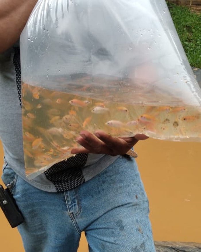 Cabanas Lago Cerro Azul - Lake of Panama -セロ・アスール-【 2024年最新の料金比較・口コミ・宿泊 ...