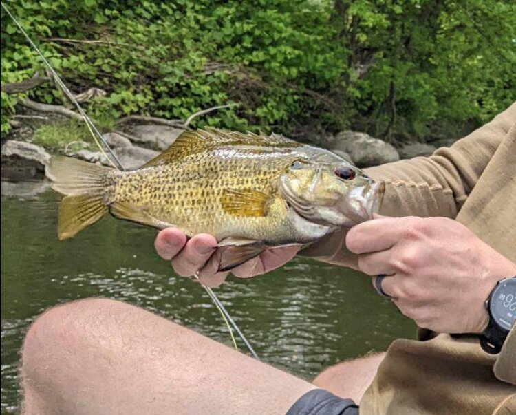 Fly Fishing Trips & Lessons in the Berkshires, MA