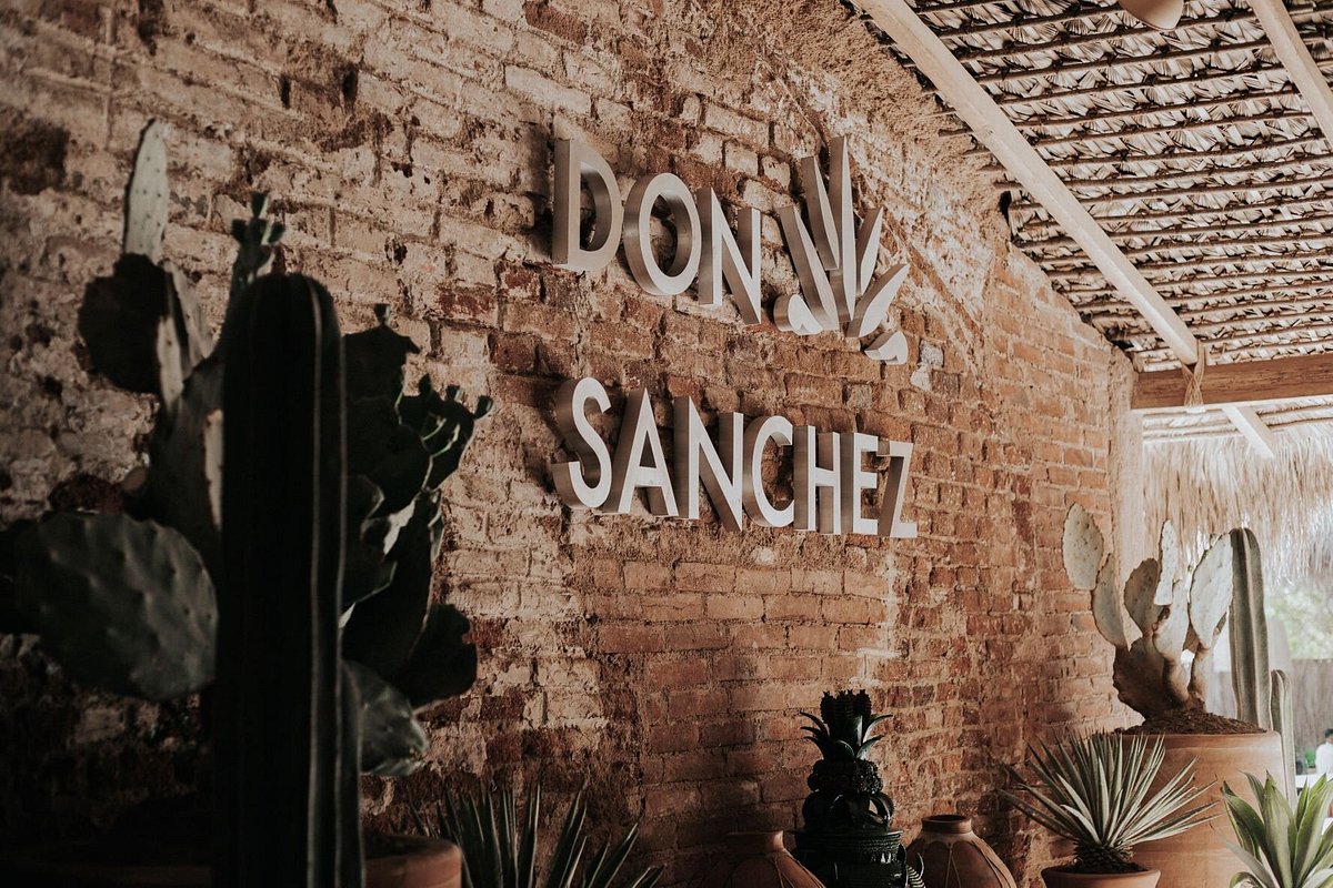 DON SANCHEZ RESTAURANTE, San José Del Cabo - Menú, Precios y Restaurante  Opiniones - Tripadvisor