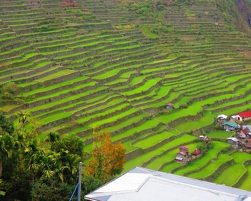 tours to banaue rice terraces