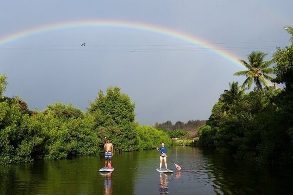 Escape The Hustle: Wahiawā Freshwater State Recreation Area – Your Hawaiian Oasis Awaits