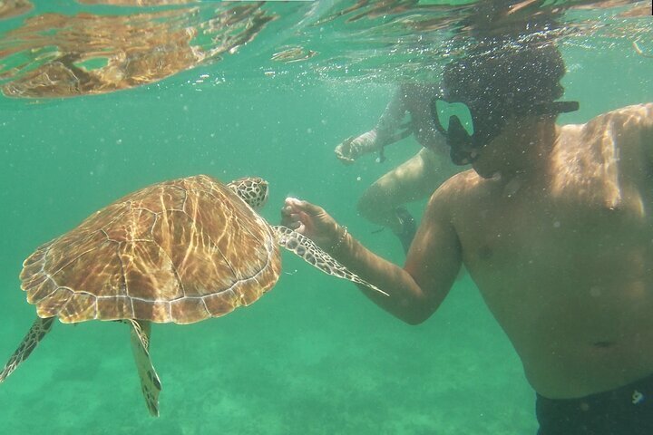 riviera maya boat excursions