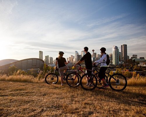 alberta tour packages from toronto