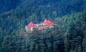 WelcomHeritage Elysium Resort & Spa in Shimla, image may contain: Hotel, Resort, Tree, Vegetation