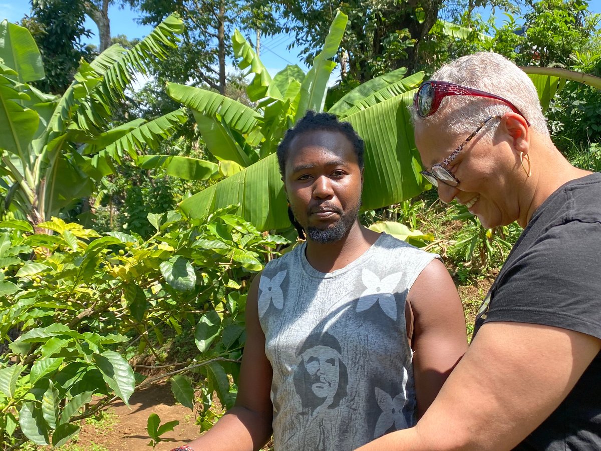 are bananas good for the barbet