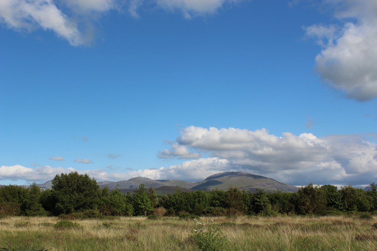 GREENWOOD TIPI GLAMPING: 2022 Reviews (Y Felinheli, Wales) - Photos of ...