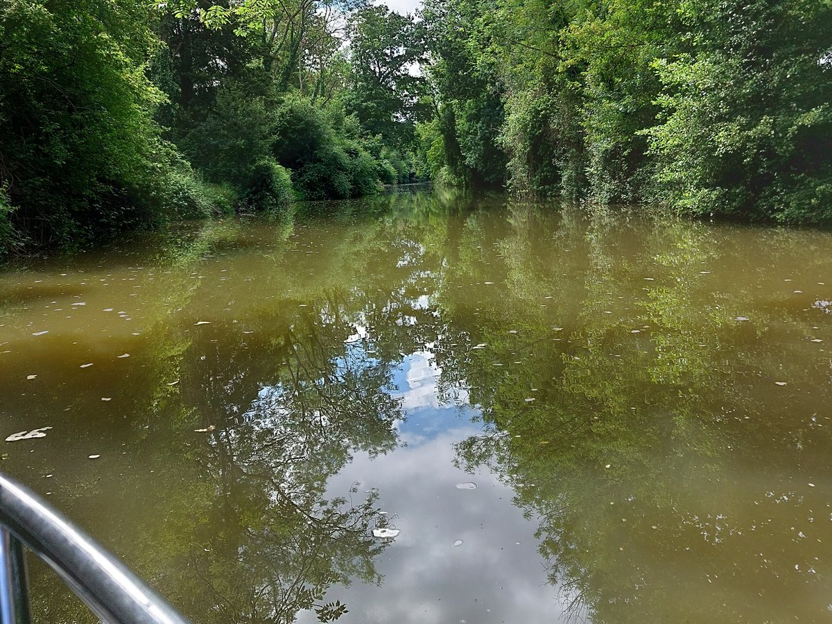 TONBRIDGE RIVER TRIPS - All You Need to Know BEFORE You Go