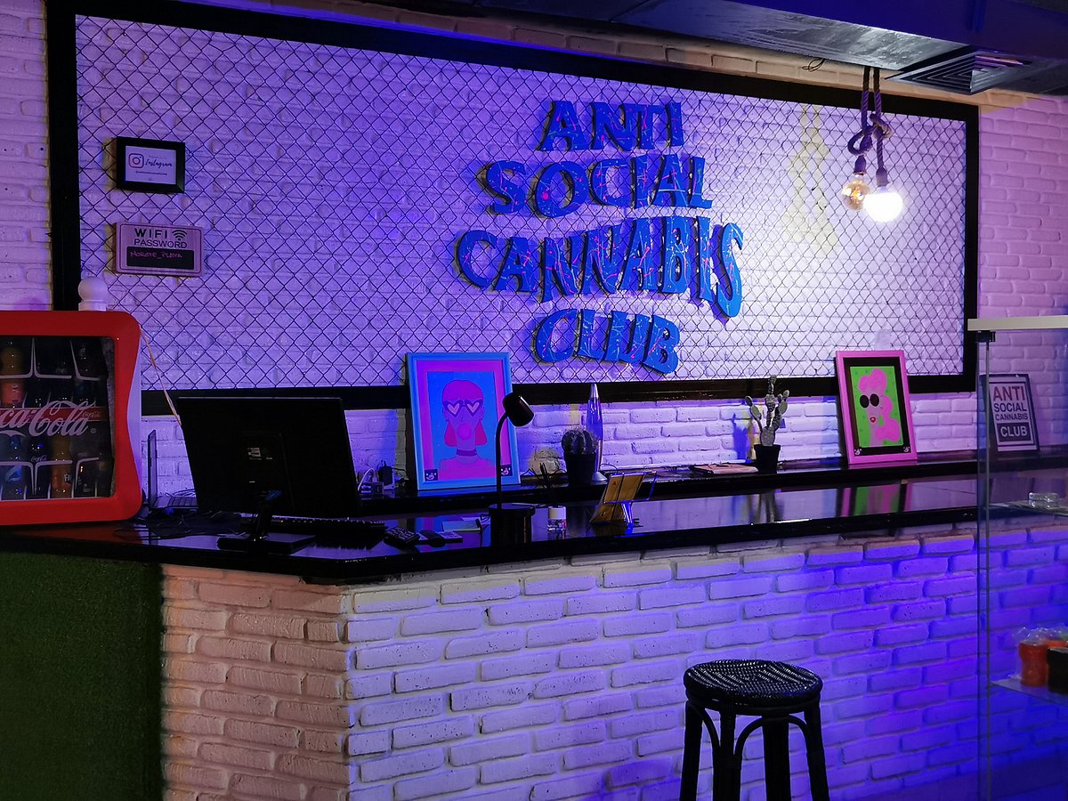 Antisocial Cannabis Club Palmas Gran Canaria, Hours, Address - Tripadvisor