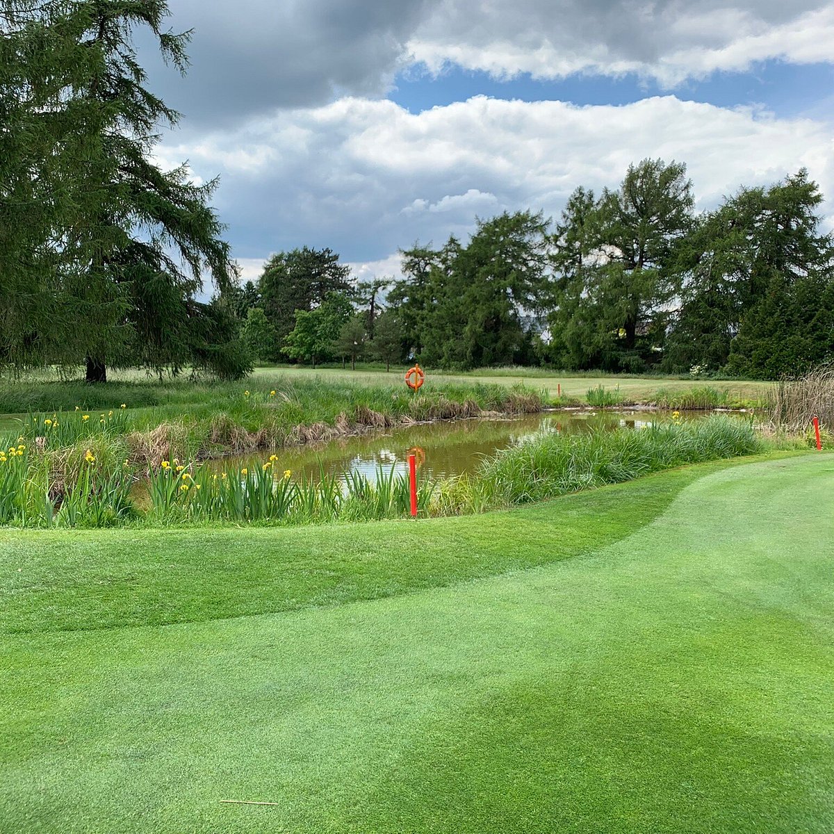 The greens. Джордж парк. Longridge Green Bank Park 54 uk.