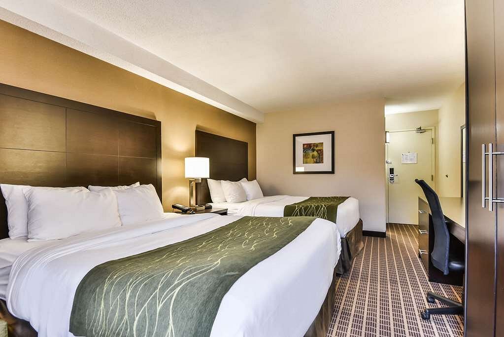 Comfort Inn and Suites Ambassador Bridge - UPDATED 2024 Prices, Reviews &  Photos (Windsor, Ontario) - Hotel - Tripadvisor