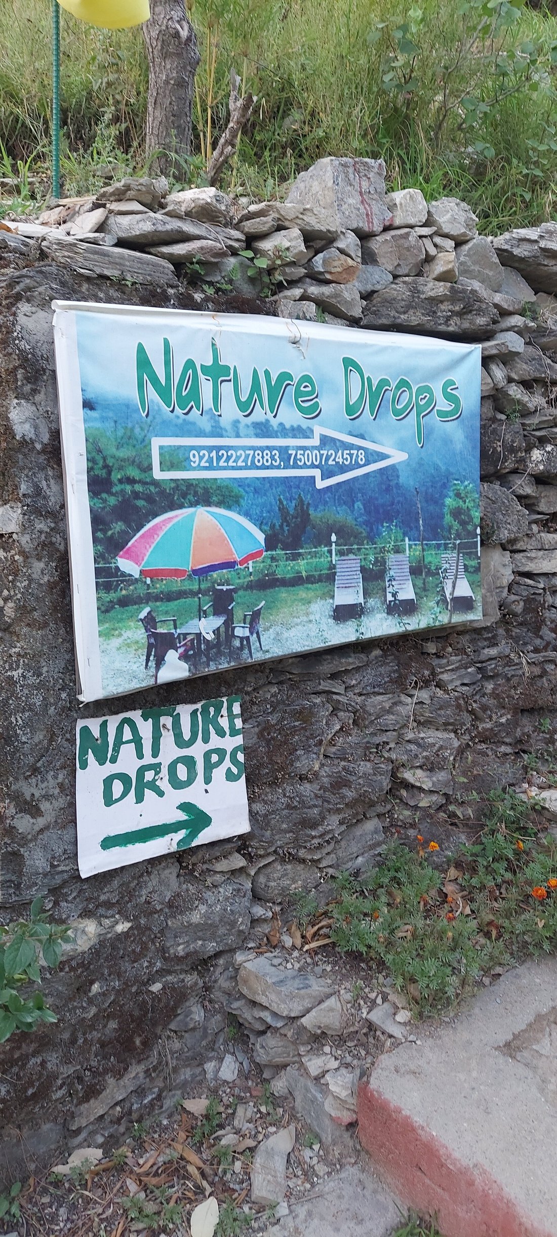 NATURE DROPS, PANGOT - Prices & Campground Reviews (Bagar Talla, India)