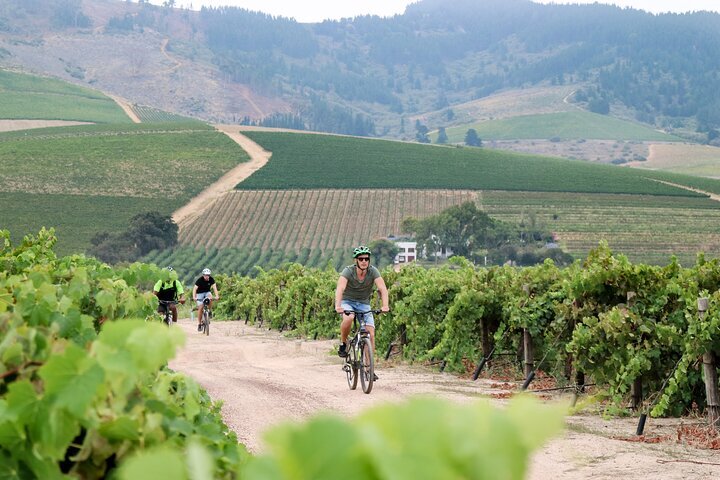 2024 Stellenbosch Half Day Winelands Cycle Tour