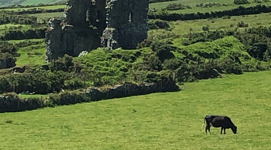 A ruin of a castle reported to be that of the Green Knight, surrounded by a ring fort (soil mounds protected by the fairies)
