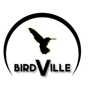 BIRDVILLE BNB GUESTHOUSE - Prices & Hotel Reviews (Gaborone, Botswana)