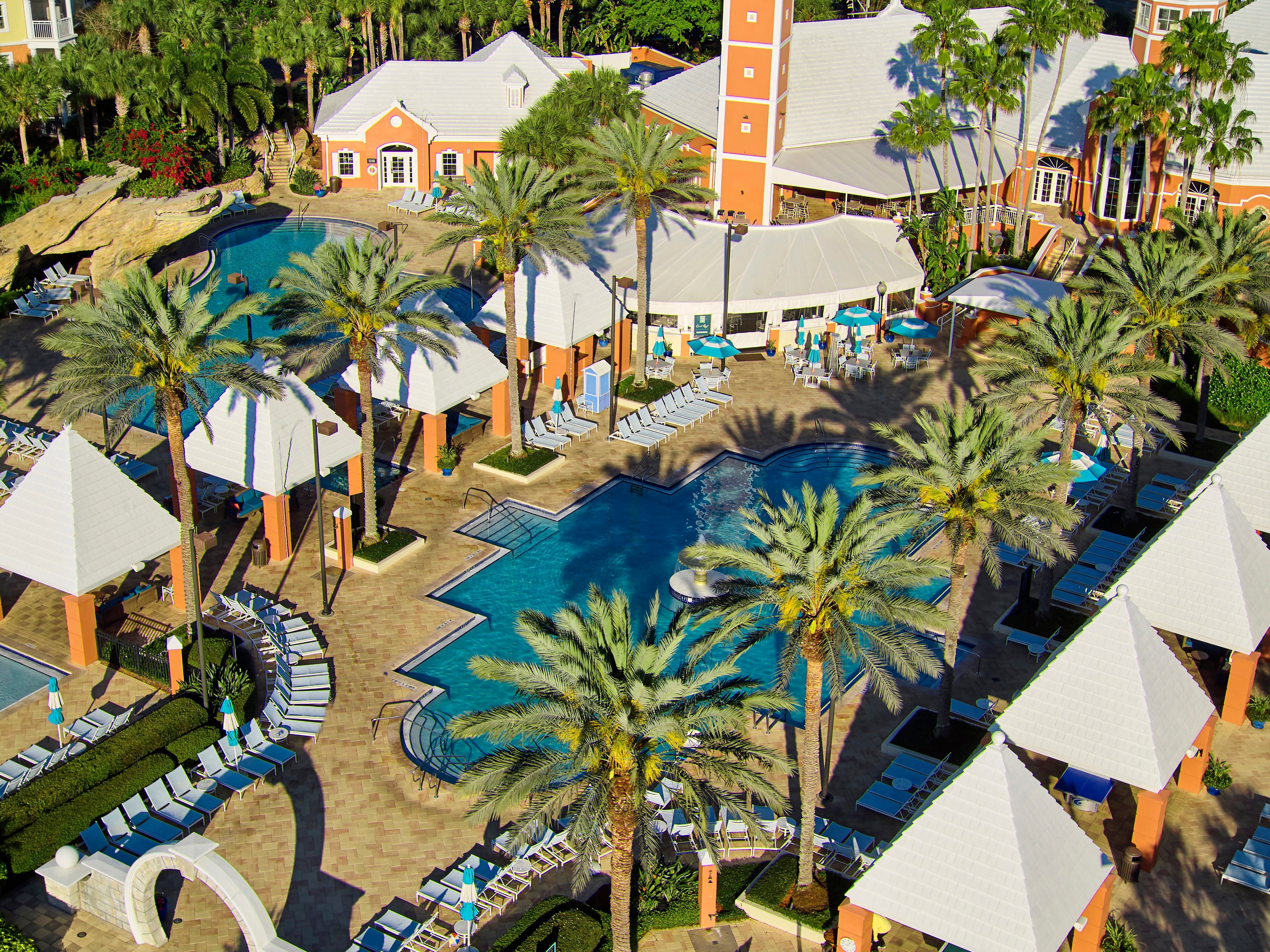 Hilton Grand Vacations Club SeaWorld Orlando UPDATED 2022 Prices   Hilton Grand Vacations 