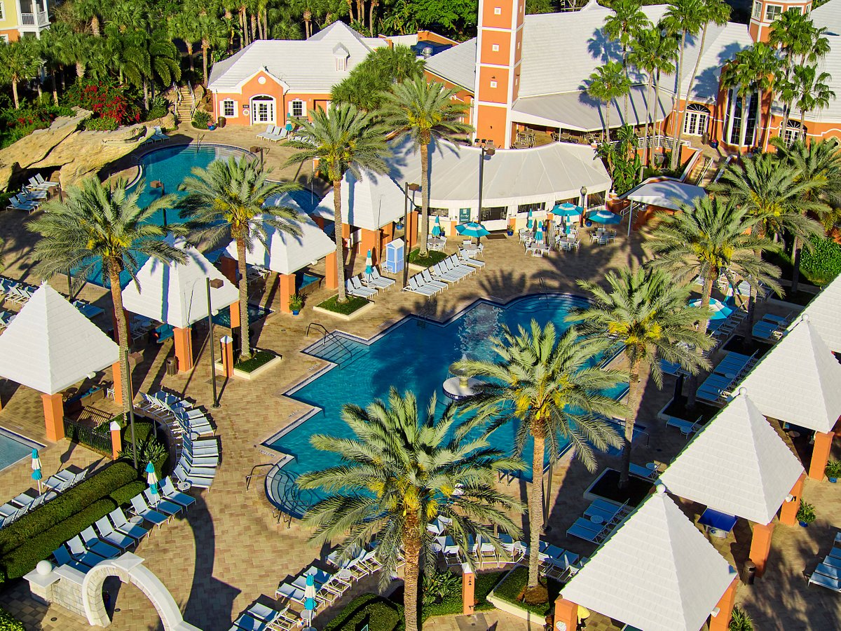 ‪Hilton Grand Vacations Club SeaWorld Orlando‬، فندق في أورلاندو