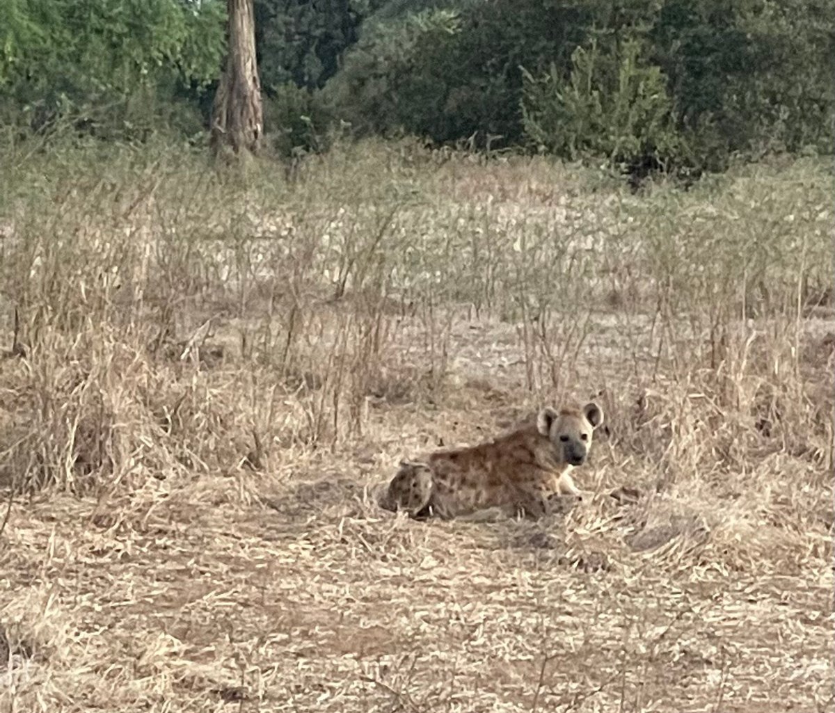 STRETCH FERREIRA SAFARIS - Updated 2024 Lodge Reviews (Mana Pools ...