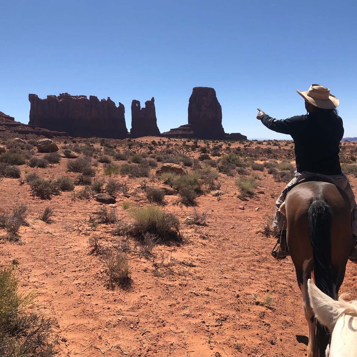 WILD WEST TRAILRIDES (Monument Valley) Ce qu'il faut savoir