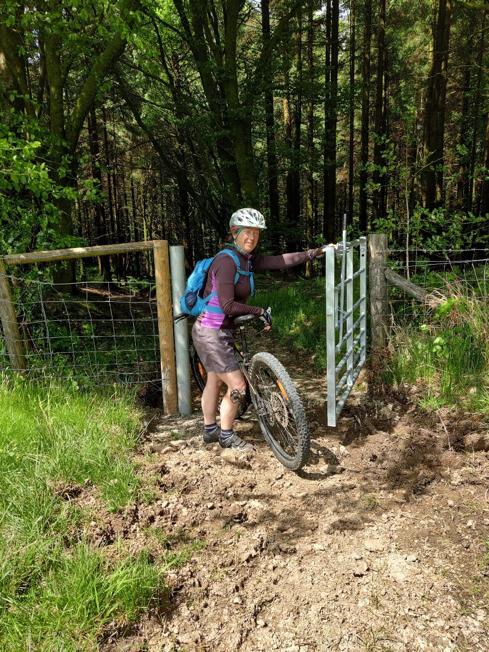 Brechfa forest mountain biking store