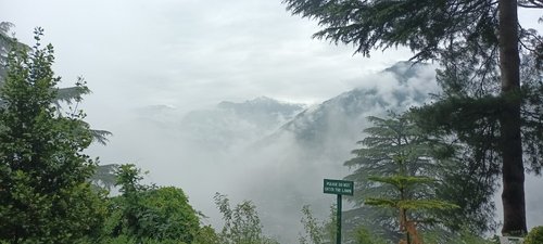 Manali Tourism Area review images