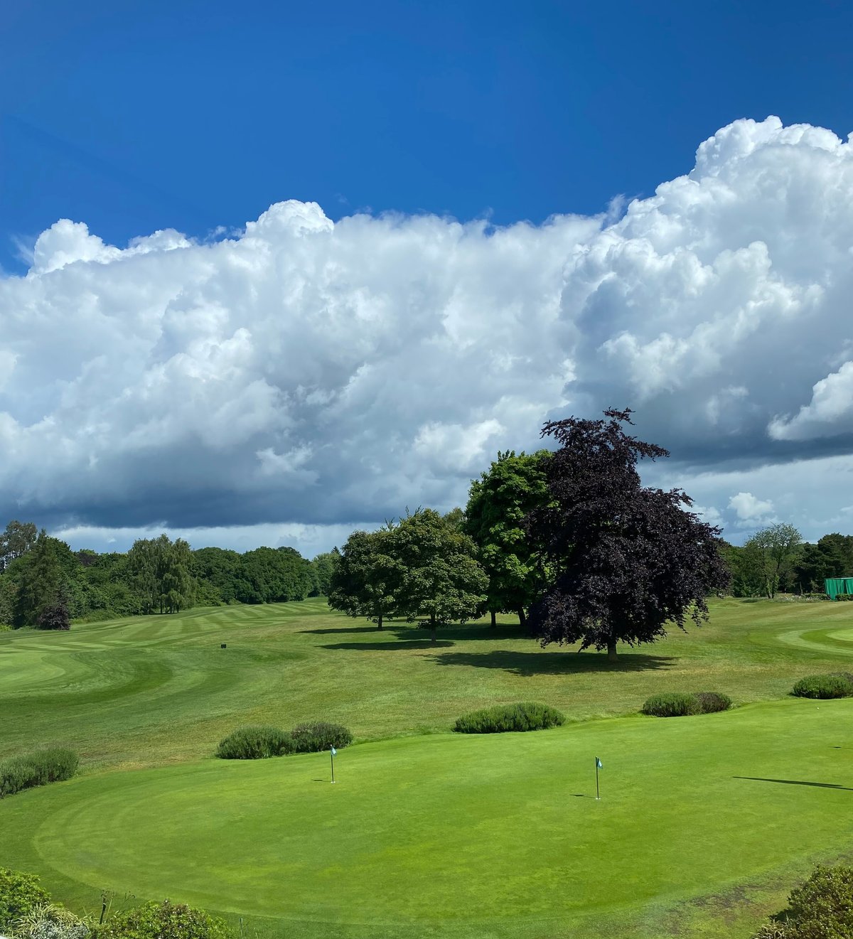 BURNHAM BEECHES GOLF CLUB Ce qu'il faut savoir