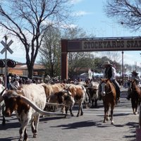 Fort Worth Stockyards National Historic District - All You Need to Know ...