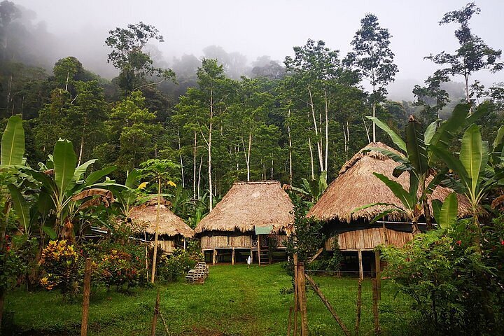 cahuita chocolate tours