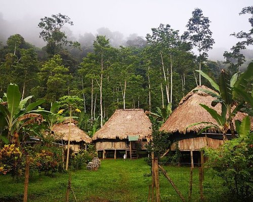 5 MEJORES Tours culturales en Cahuita (con Precios) - Tripadvisor