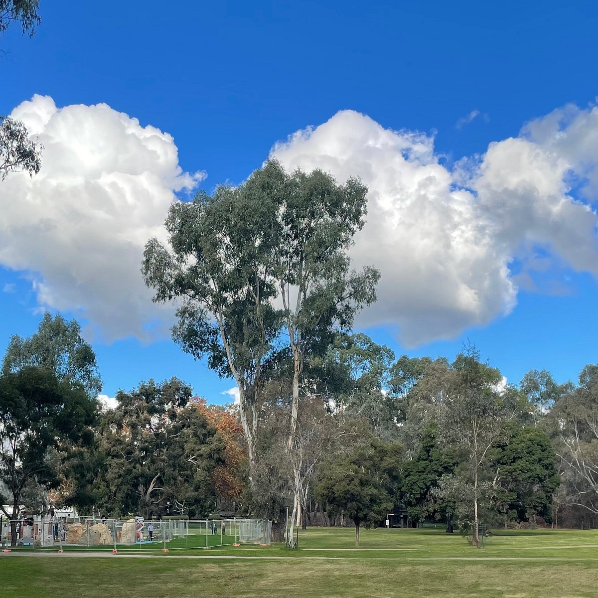 Apex Park, Attraction, High Country, Victoria, Australia