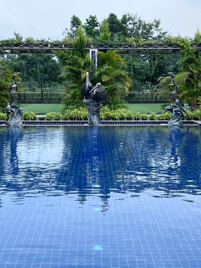 MAYFAIR Tea Resort Pool Pictures & Reviews - Tripadvisor