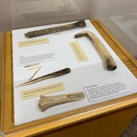 National Buffalo Museum (Jamestown) - All You Need to Know BEFORE You Go