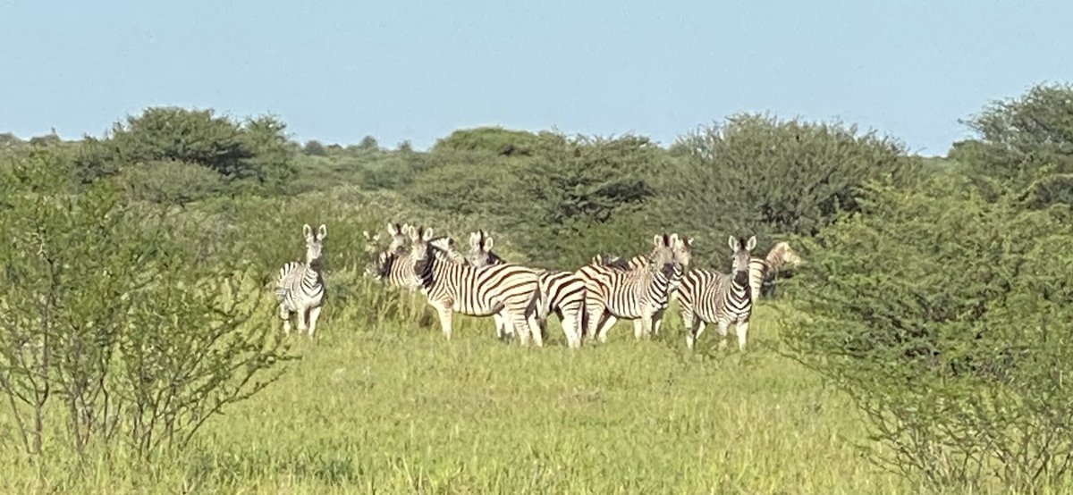 Deception Valley Lodge - Botswana/Central Kalahari Game Reserve Lodge ...