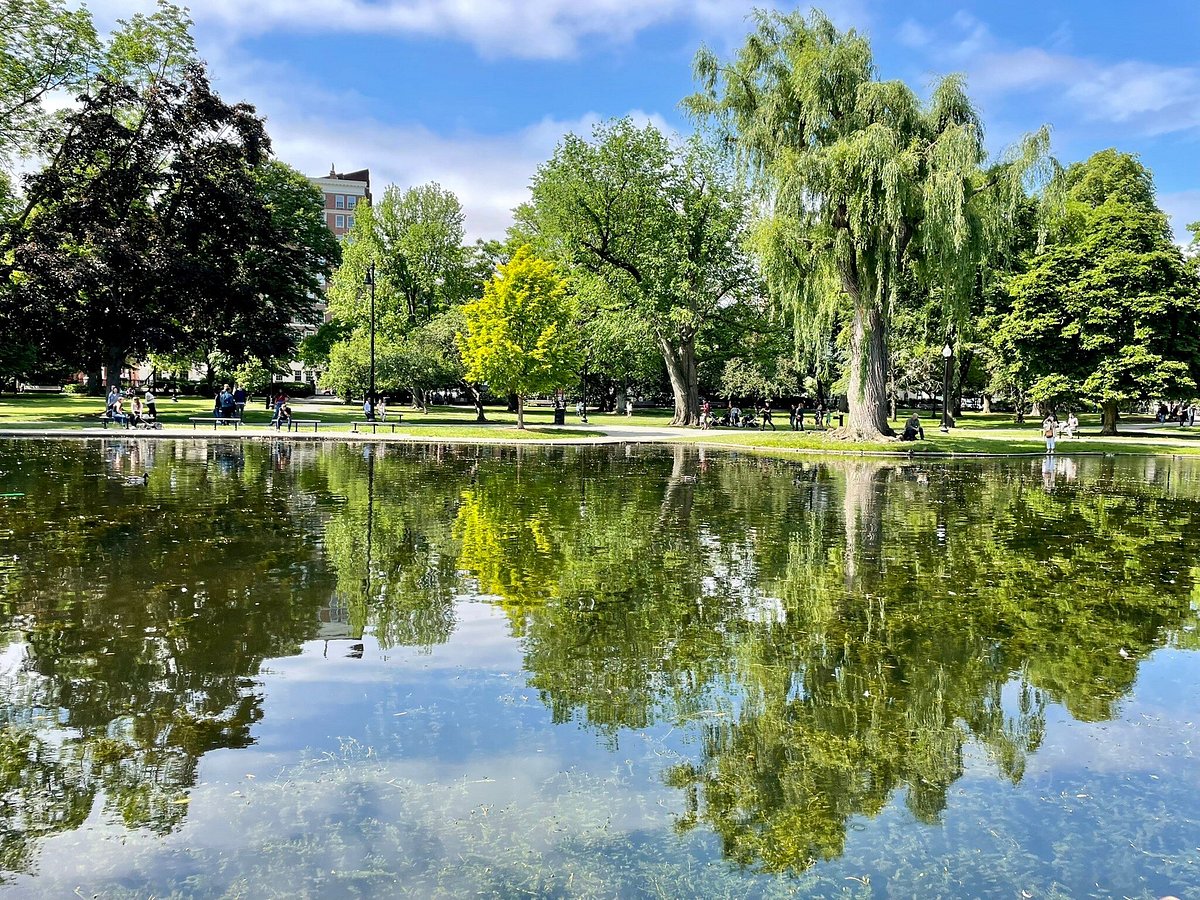 Swan Boats (Boston) - All You Need to Know BEFORE You Go