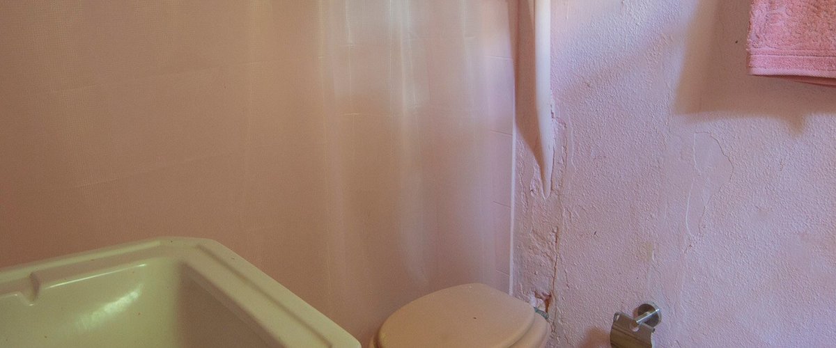 El baño rosa
