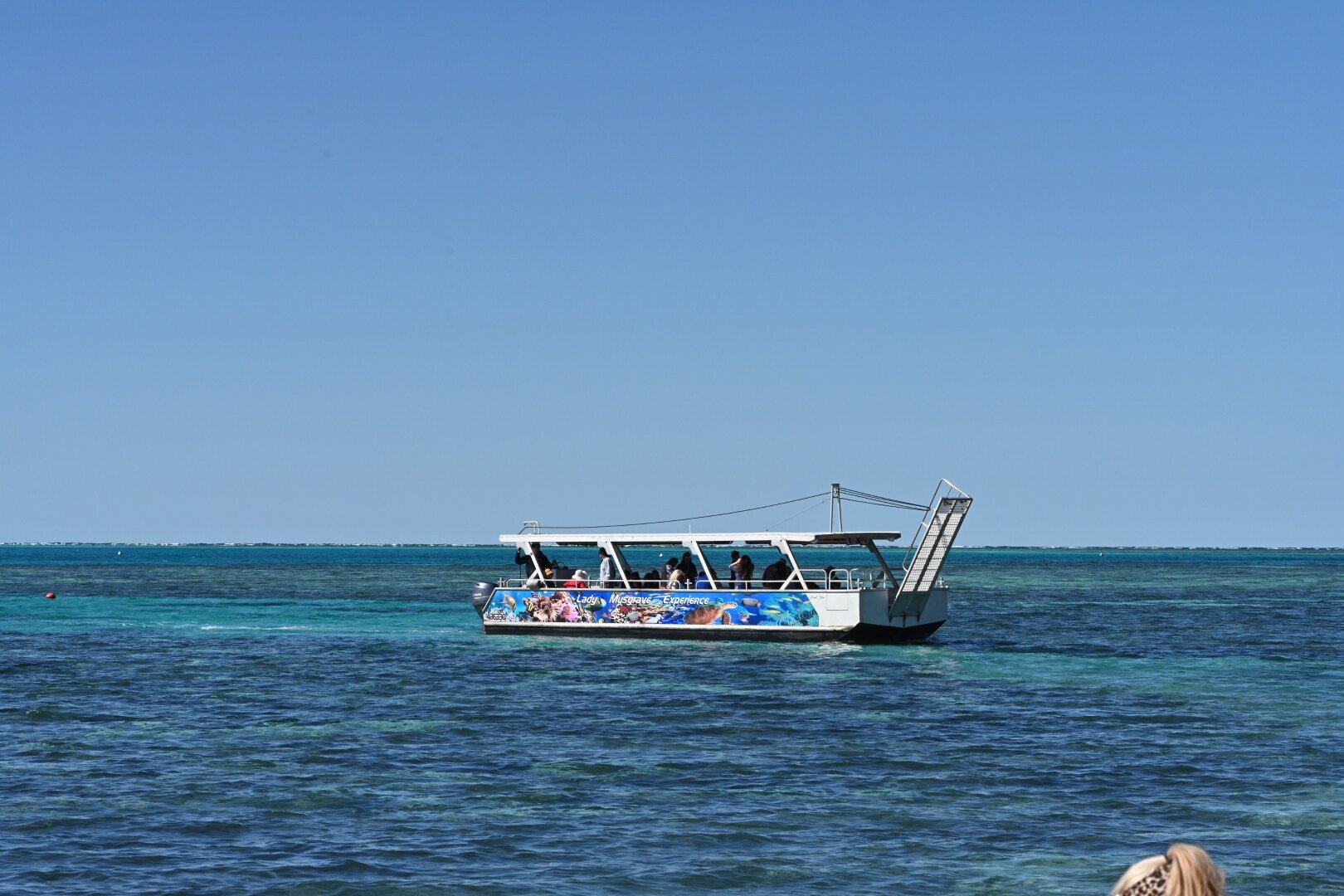 2023 Lady Musgrave Day Trip From Bundaberg Including Snorkeling, Glass ...