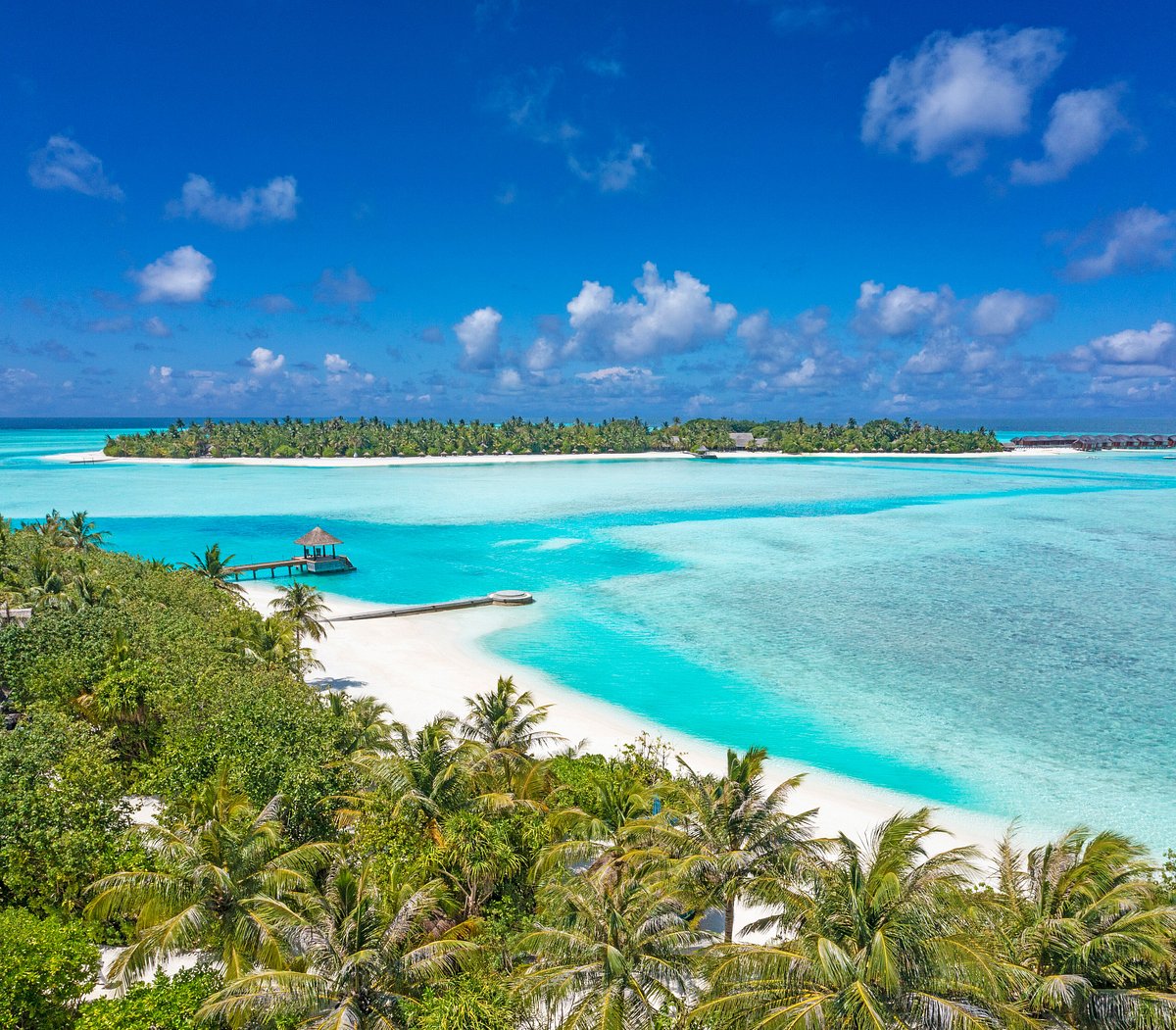 Naladhu Private Island Maldives Pool Pictures And Reviews Tripadvisor 2881