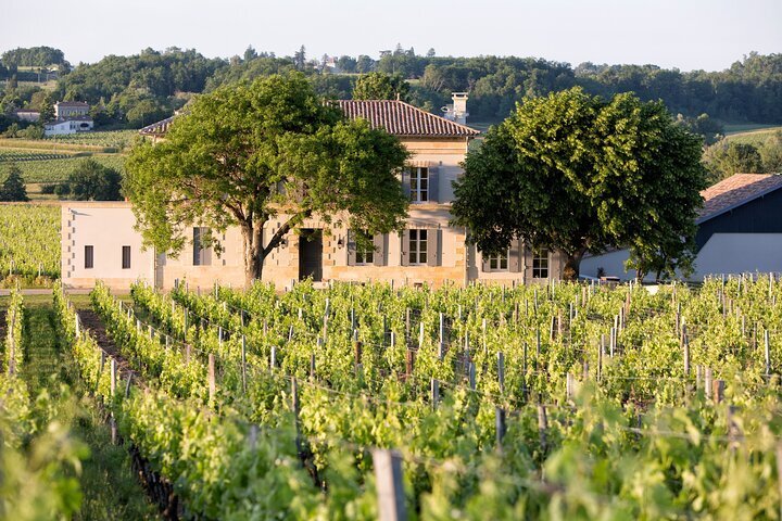 bordeaux-vineyard-france-lupon-gov-ph