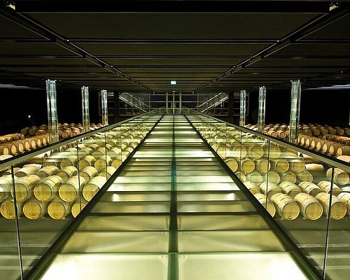 wine tours from bordeaux