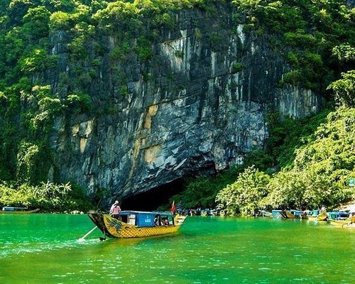 Indochinese tigers at Phong Nha-Ke Bang National Park