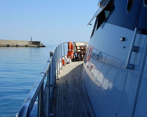 dolphin tours crete