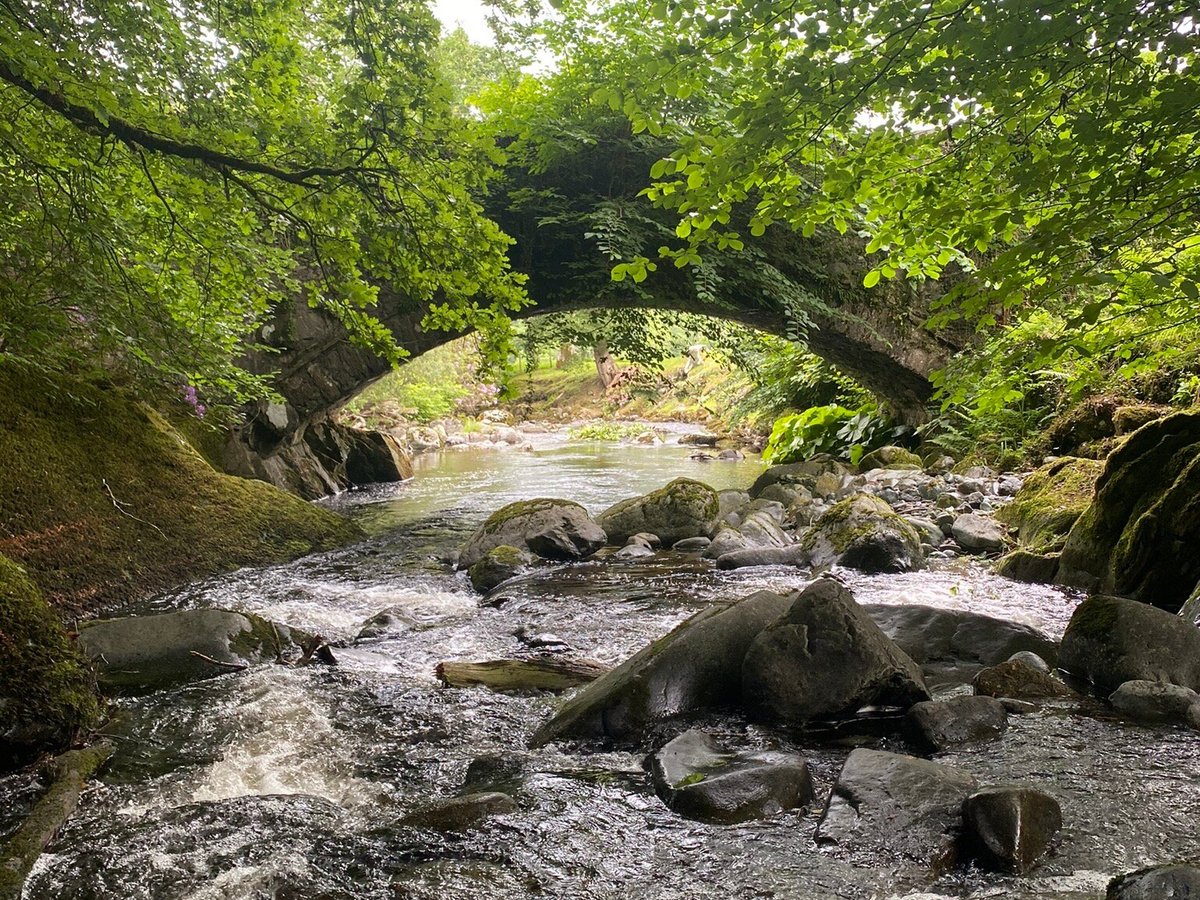 Torrent Walk, Долгеллау: лучшие советы перед посещением - Tripadvisor