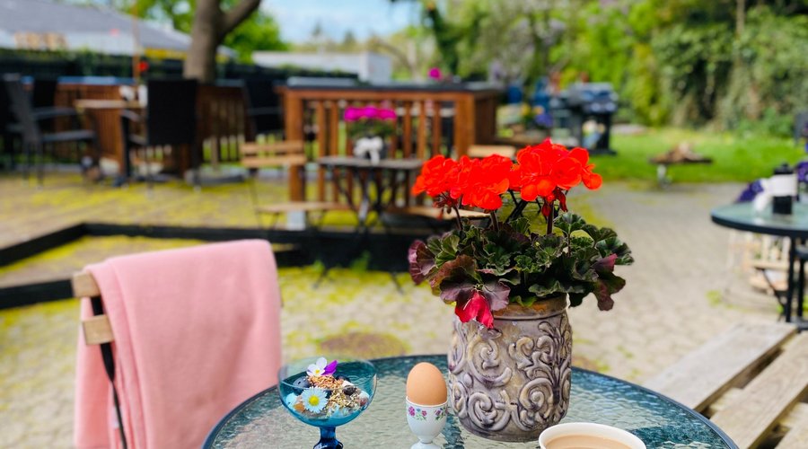 Brunch in our garden 